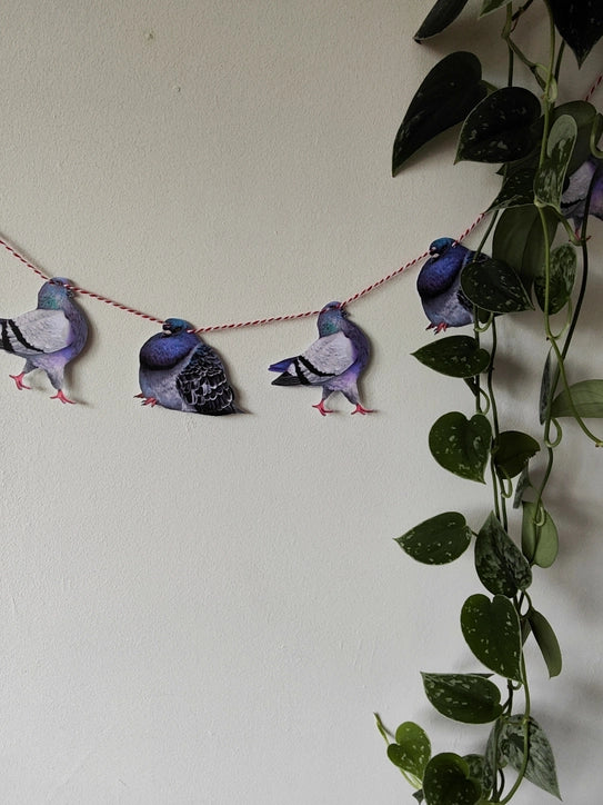 Pigeon garland hanging beside a trailing plant