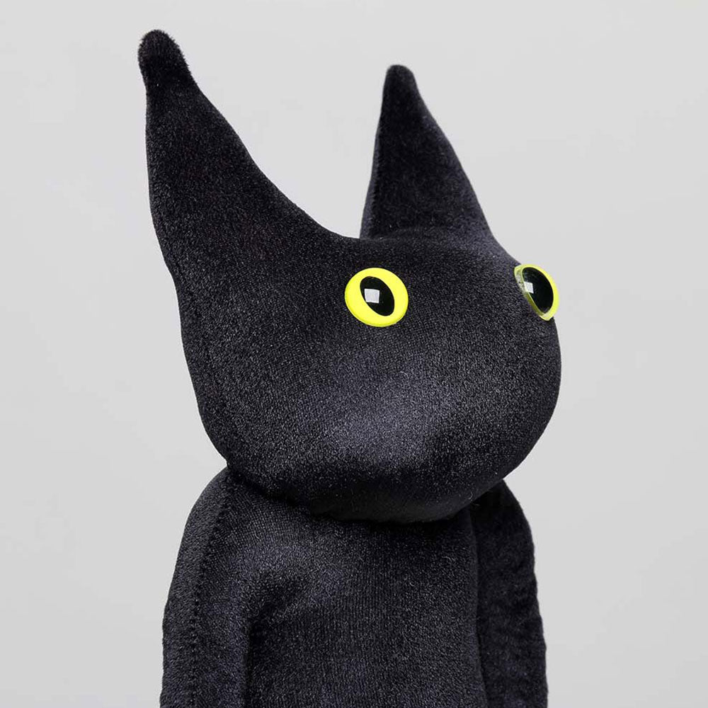 Close-up of Jasper's velvety black face and yellow eyes