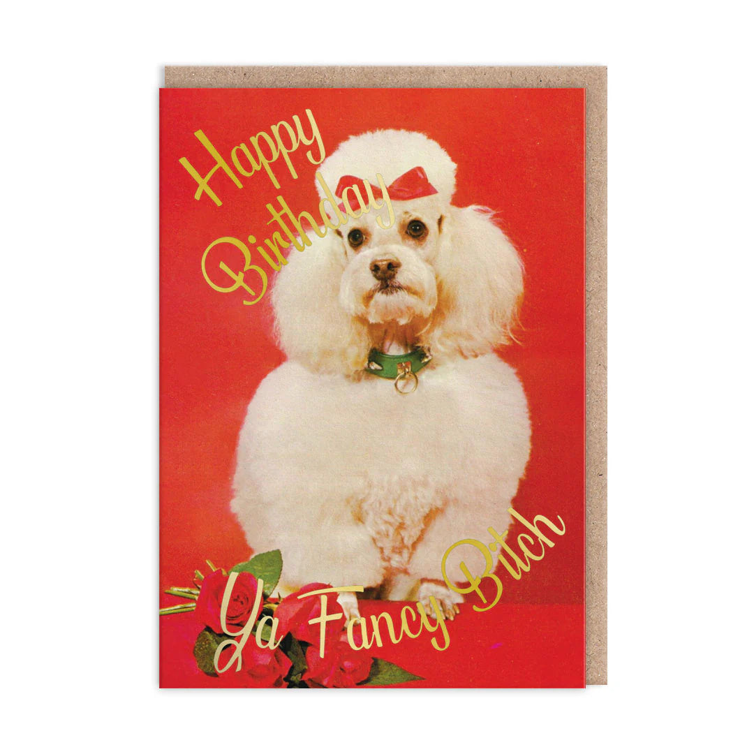 Red card with a white poodle wearing a bow: Happy birthday ya fancy bitch