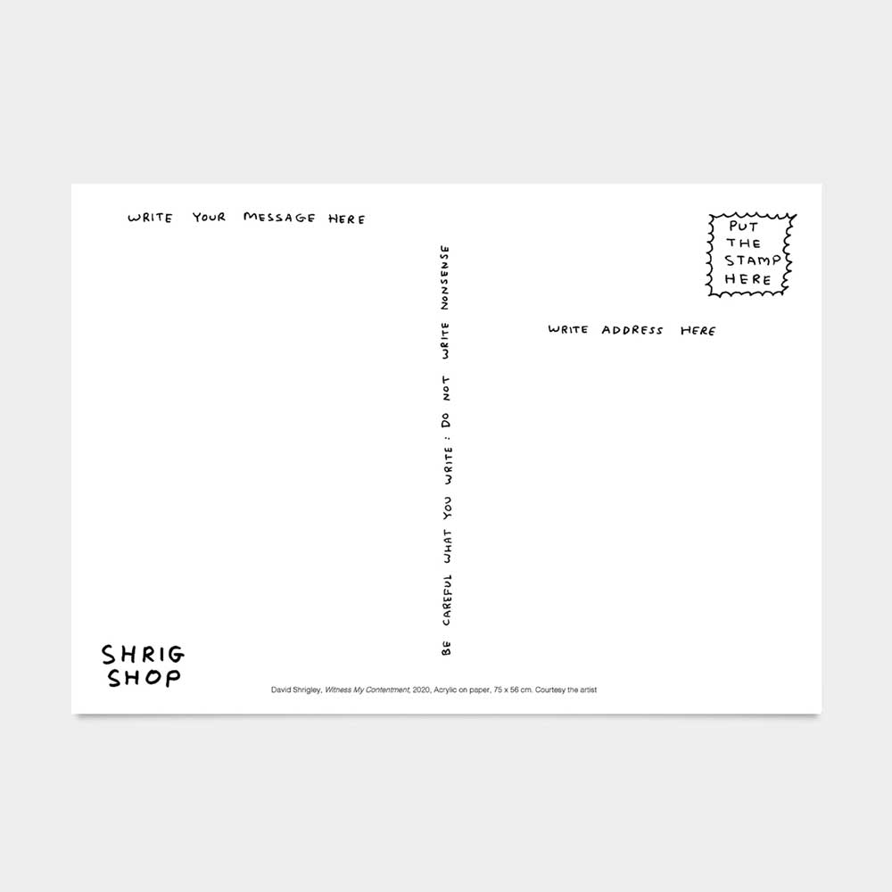 Back of the Shrigley pig postcard with handwritten spaces for a message, address and stamp