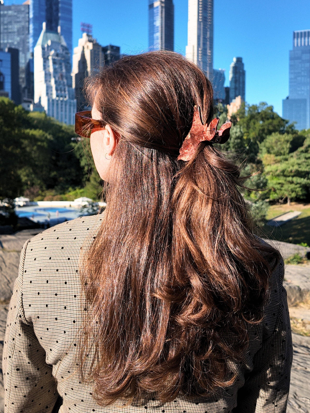 Long brown hair with the dachshund claw clip, against a city skyline