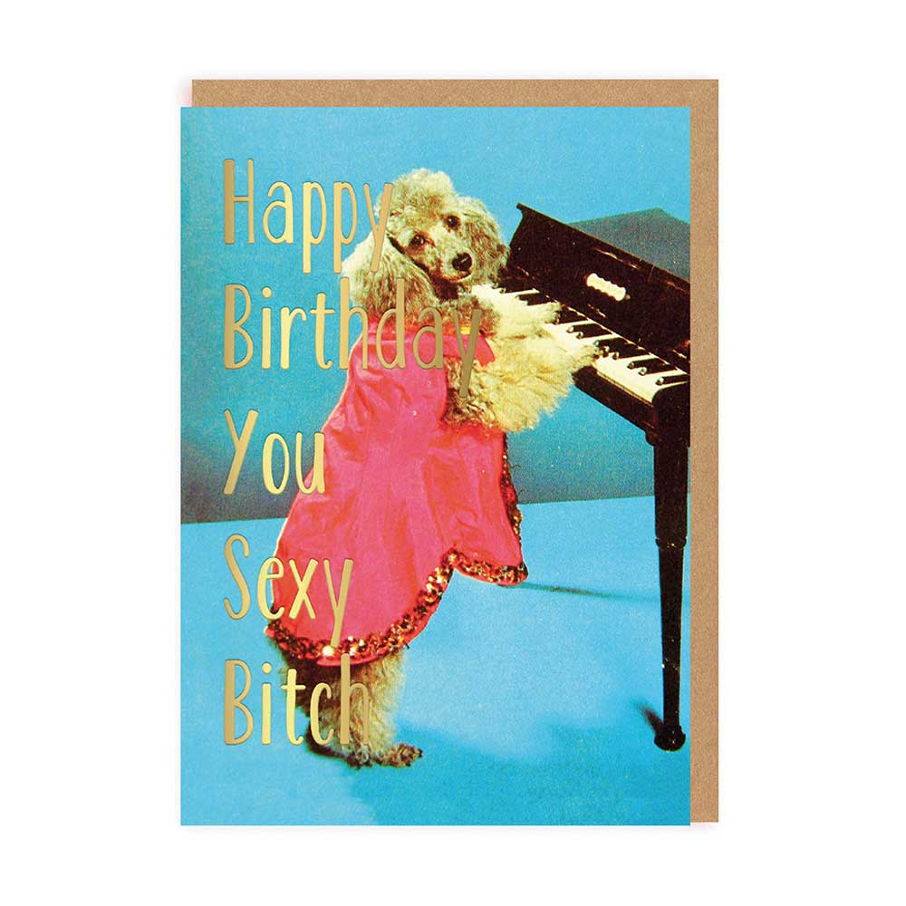 Ohh Deer card: a fluffy dog in a pink dress playing the piano, with gold text 'Happy birthday you sexy bitch'