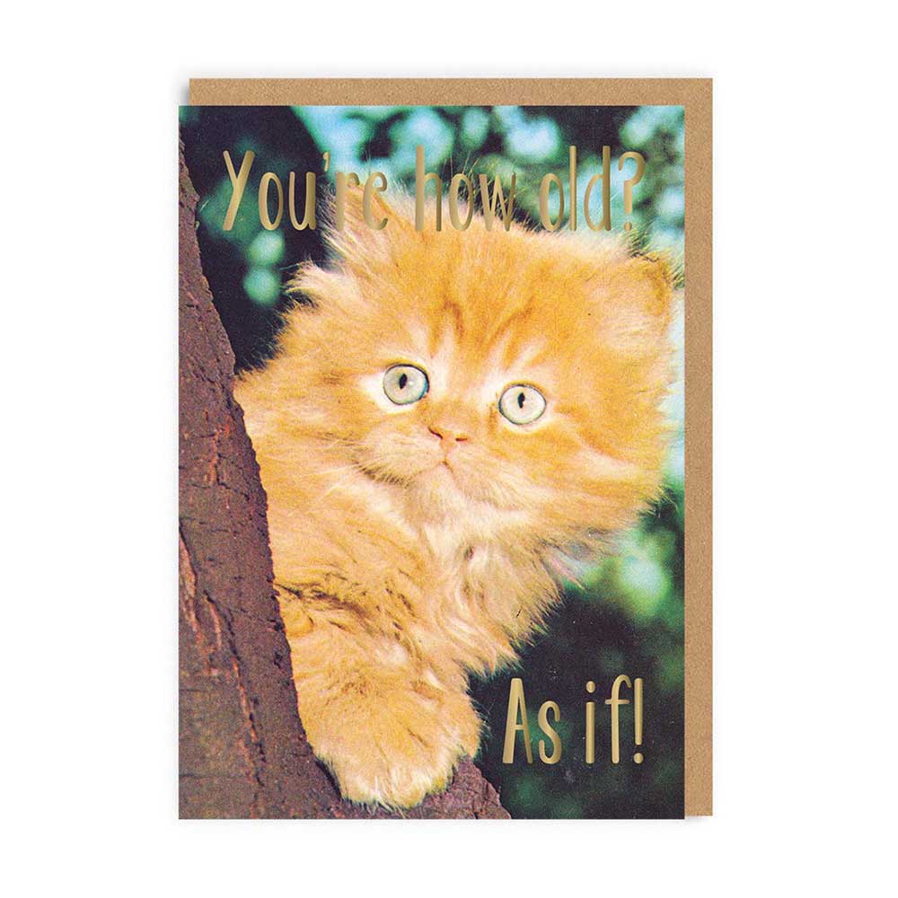 Ohh Deer card: a fluffy ginger kitten peeking from behind a tree, with gold text 'You're how old? As if!'