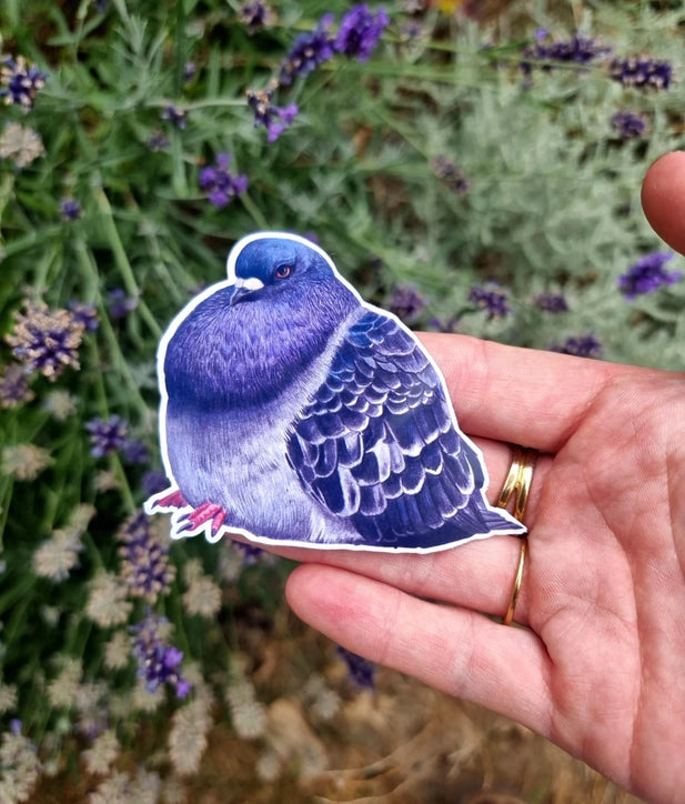 Hand holding a plump purple pigeon sticker