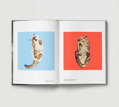 Book open at photos of cats seen from below