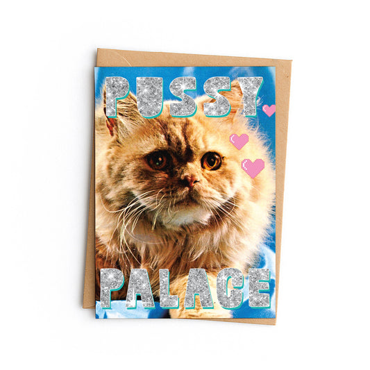 Card with a fluffy ginger cat: Pussy palace