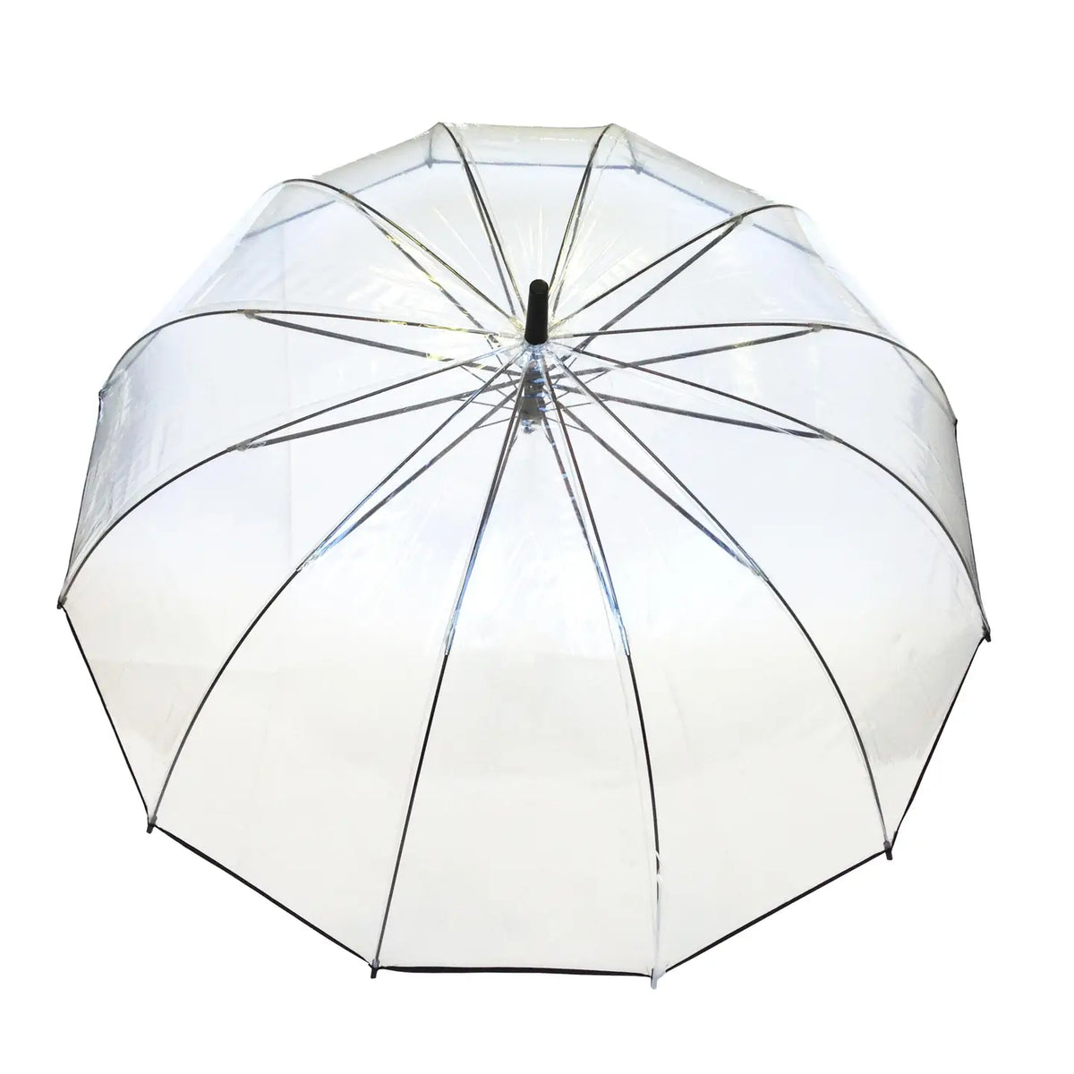 Transparent dome umbrella from above
