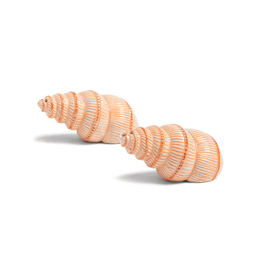 Klevering ceramic seashell salt and pepper shakers in peach