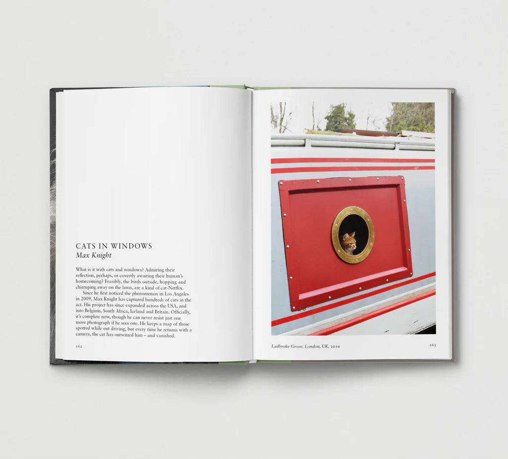 Book open at a photo of a cat at a round window