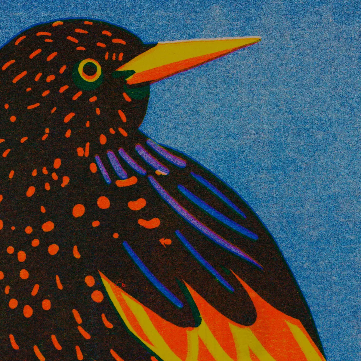 Close-up of the starling print