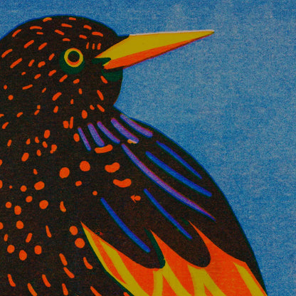 Close-up of the starling print