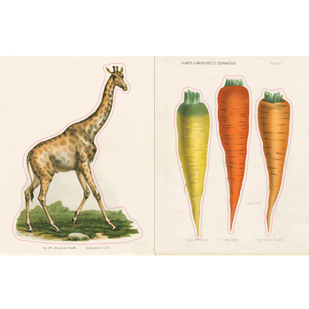 Sticker pages with a giraffe and carrots