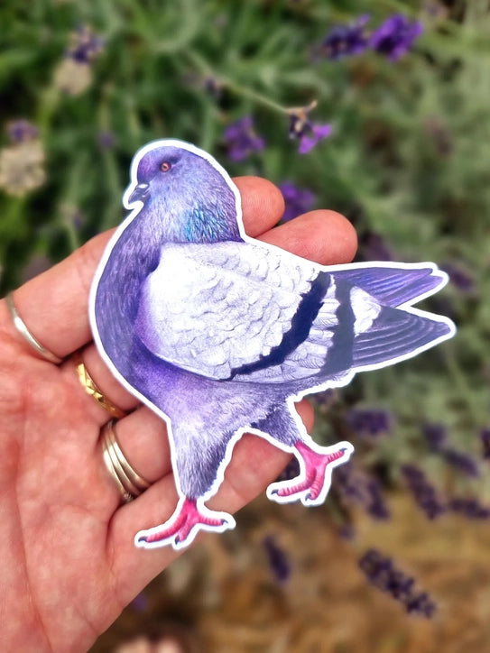 Hand holding a strutting pigeon sticker