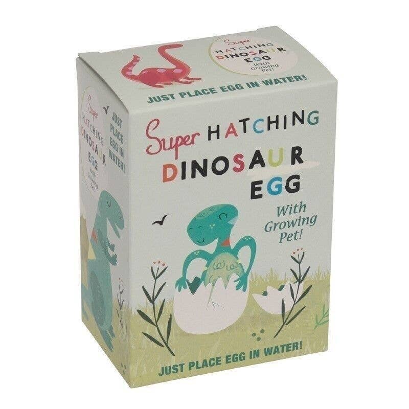 Super Hatching Dinosaur Egg box: just place egg in water!