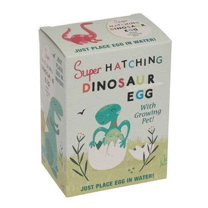 Super Hatching Dinosaur Egg box: just place egg in water!
