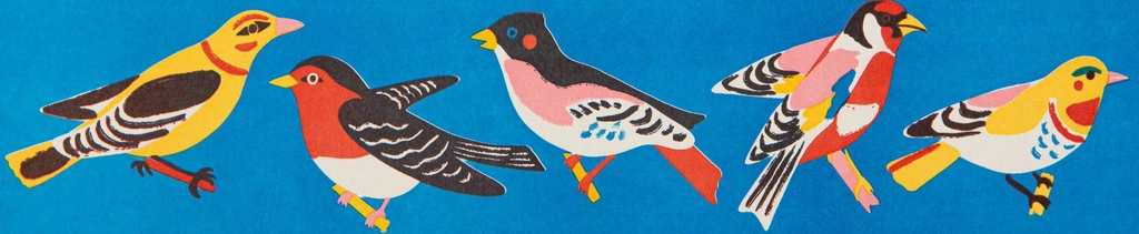 Archivist Birdy long matches: a blue box decorated with colourful birds