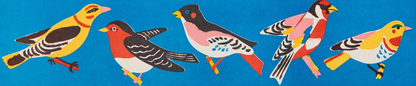 Archivist Birdy long matches: a blue box decorated with colourful birds