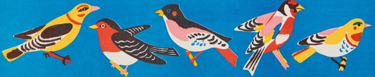 Archivist Birdy long matches: a blue box decorated with colourful birds