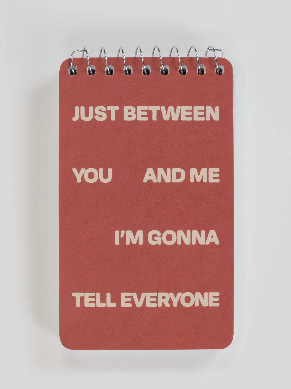 Blue Q mini notebook: 'Just between you and me I'm gonna tell everyone' on red