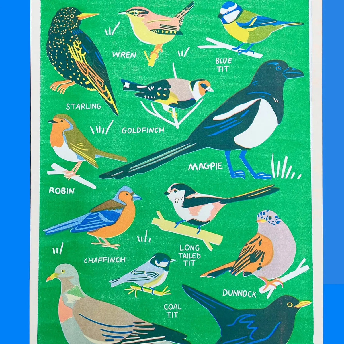 Naomi Wilkinson A3 riso print: labelled British garden birds on green, including a robin, magpie, wren and starling