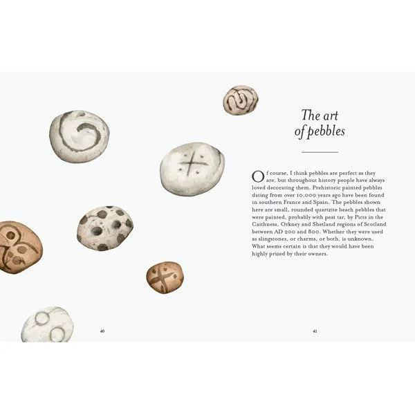 Inside page of The Pebble Spotter's Guide: 'The art of pebbles' with illustrated stones
