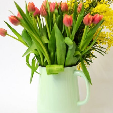 Large green enamel jug holding pink tulips and mimosa