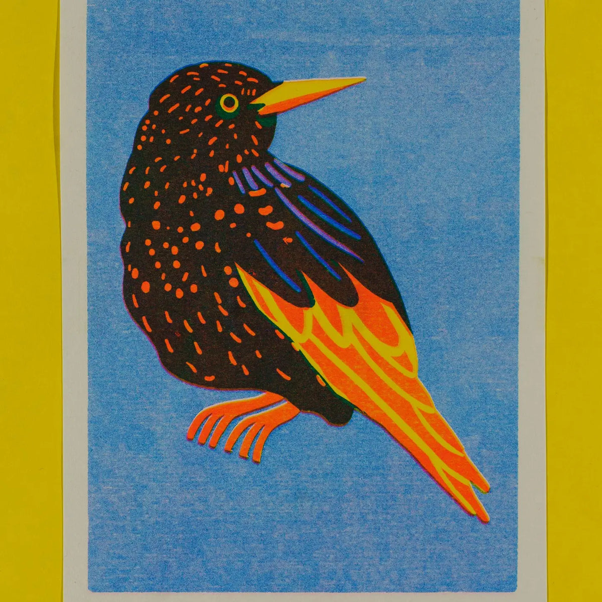 Naomi Wilkinson mini print: a starling with orange spots on blue