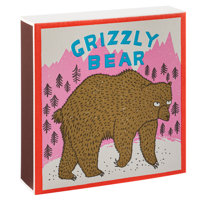 Grizzly bear matchbox closed
