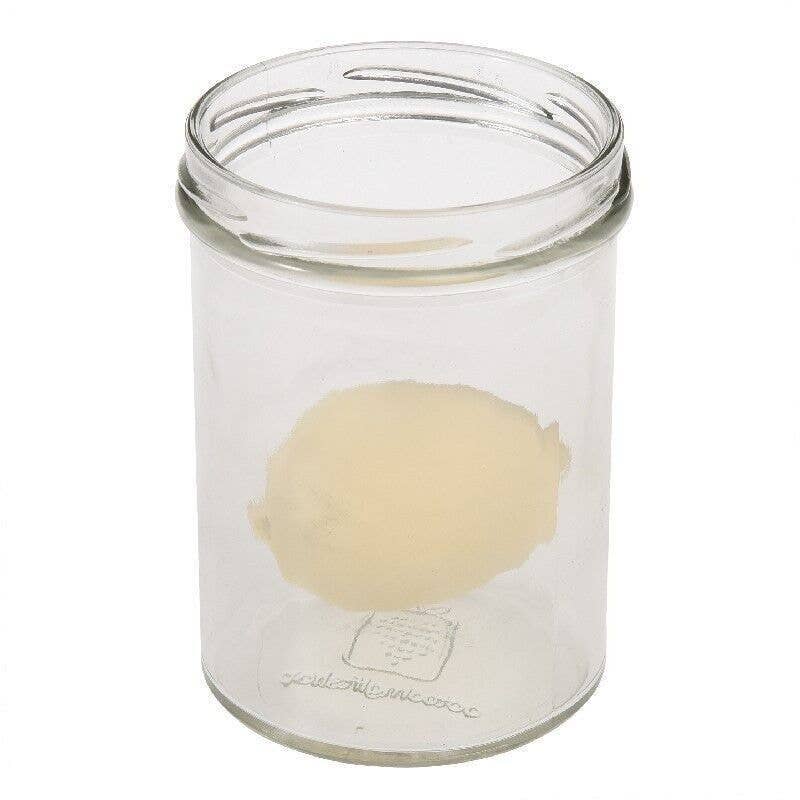 Dinosaur egg sitting in a jar of water