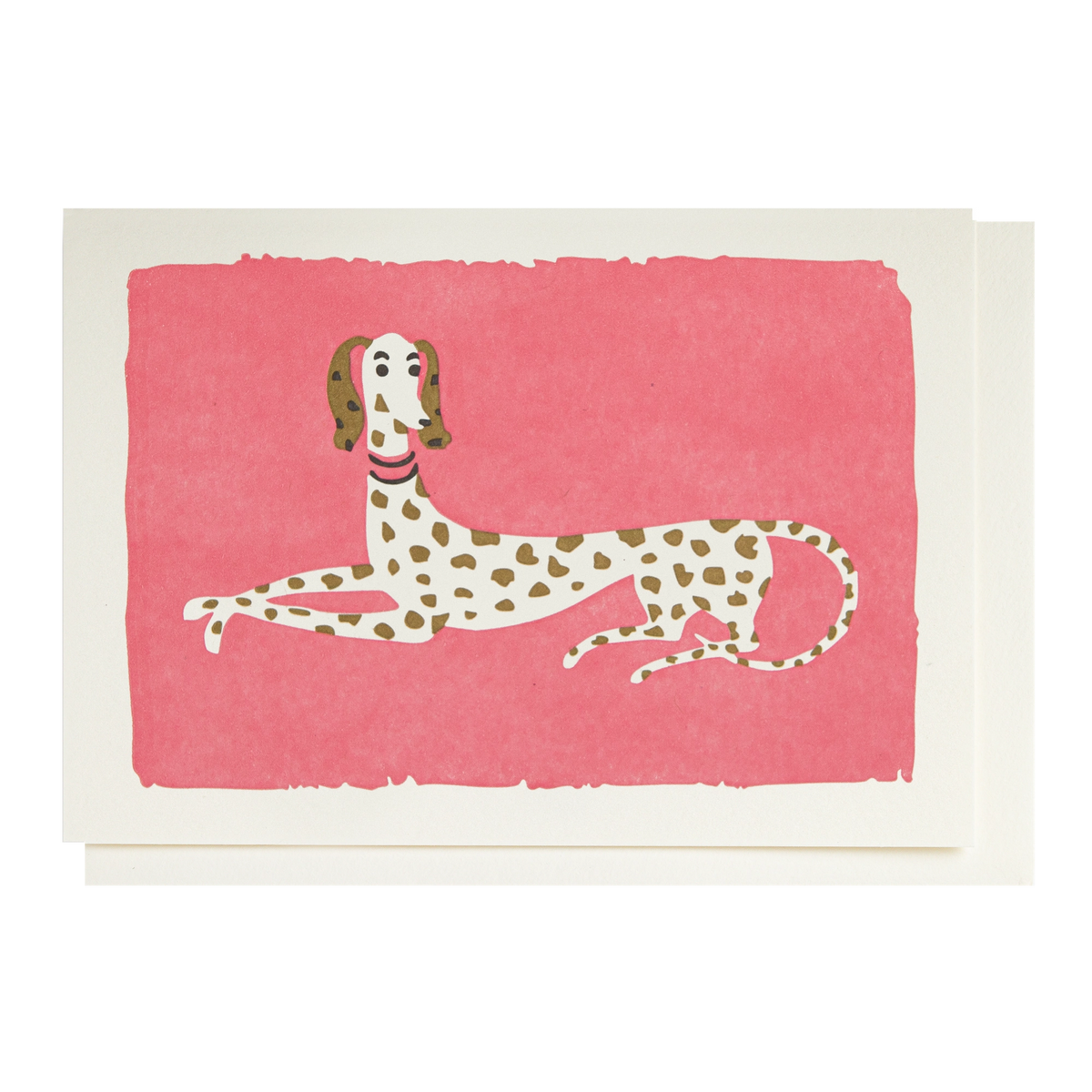 Archivist card: a dalmatian lying down on pink
