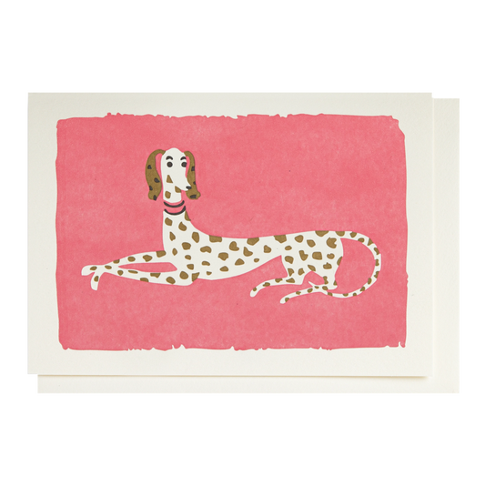 Archivist card: a dalmatian lying down on pink