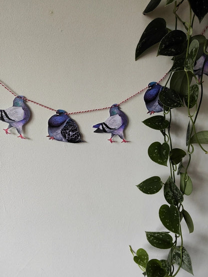 Pigeon garland hanging beside a trailing plant