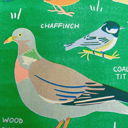 Close-up of the chaffinch, coal tit and wood pigeon