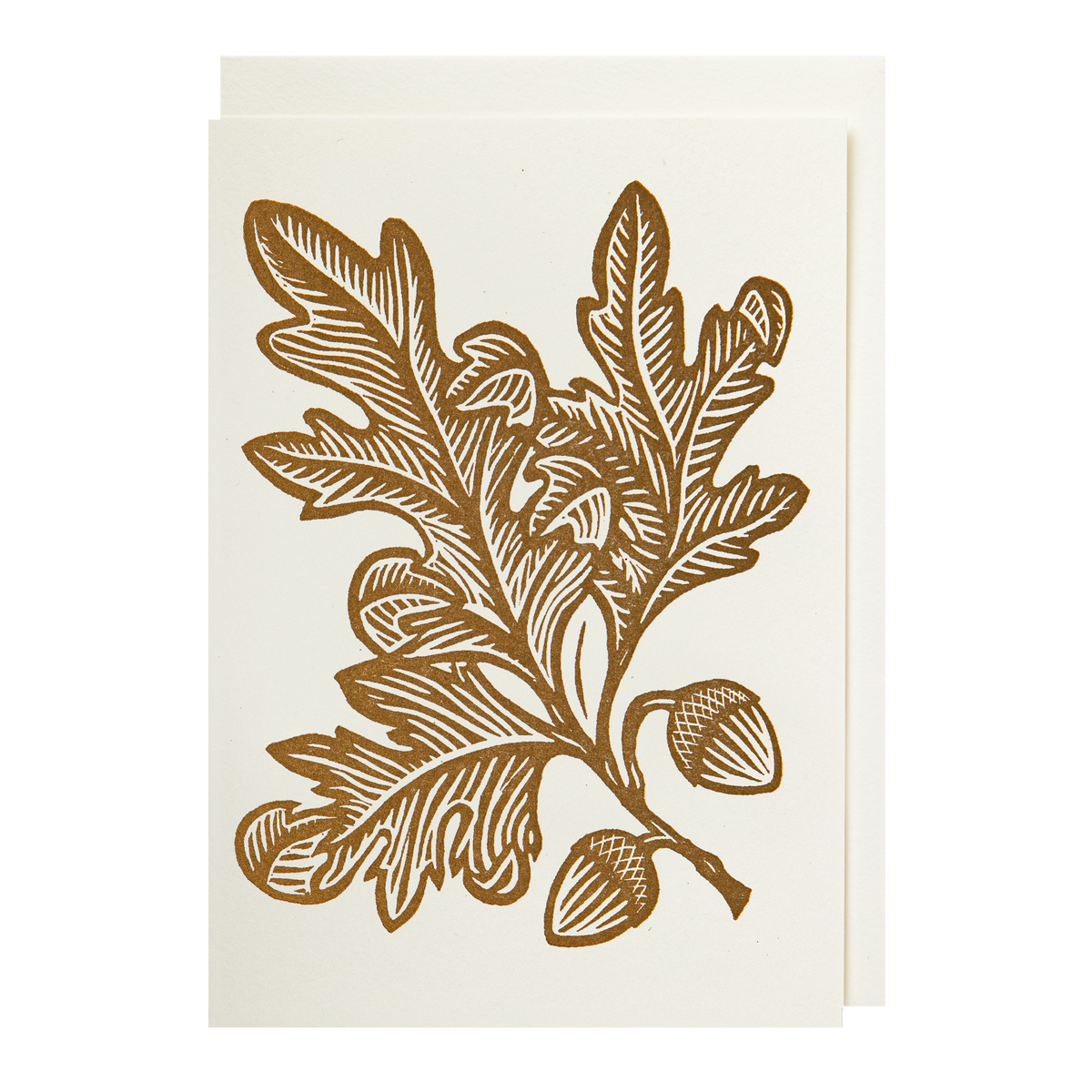 Card with a brown oak branch and acorns