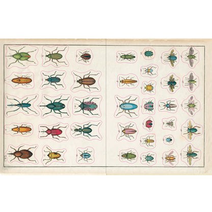 Sticker page of vintage beetle illustrations