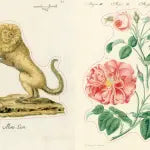 Sticker pages with a gold lion and pink roses