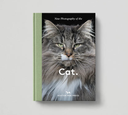 New Photography of the Cat: cover with a fluffy grey cat