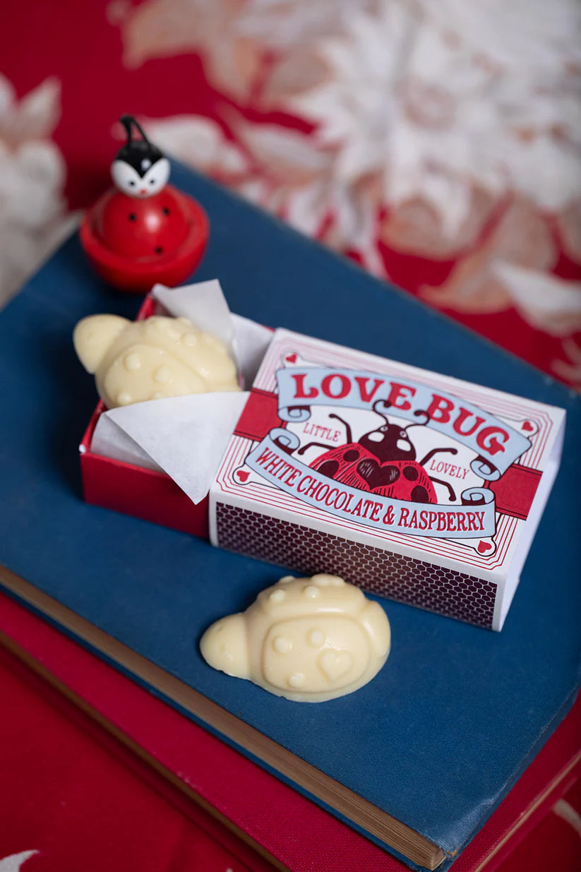 Love Bug white chocolate and raspberry ladybirds in a matchbox-style box