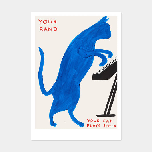 David Shrigley postcard: a bright blue painted cat playing a synth keyboard, with the words 'Your band' and 'Your cat plays synth'