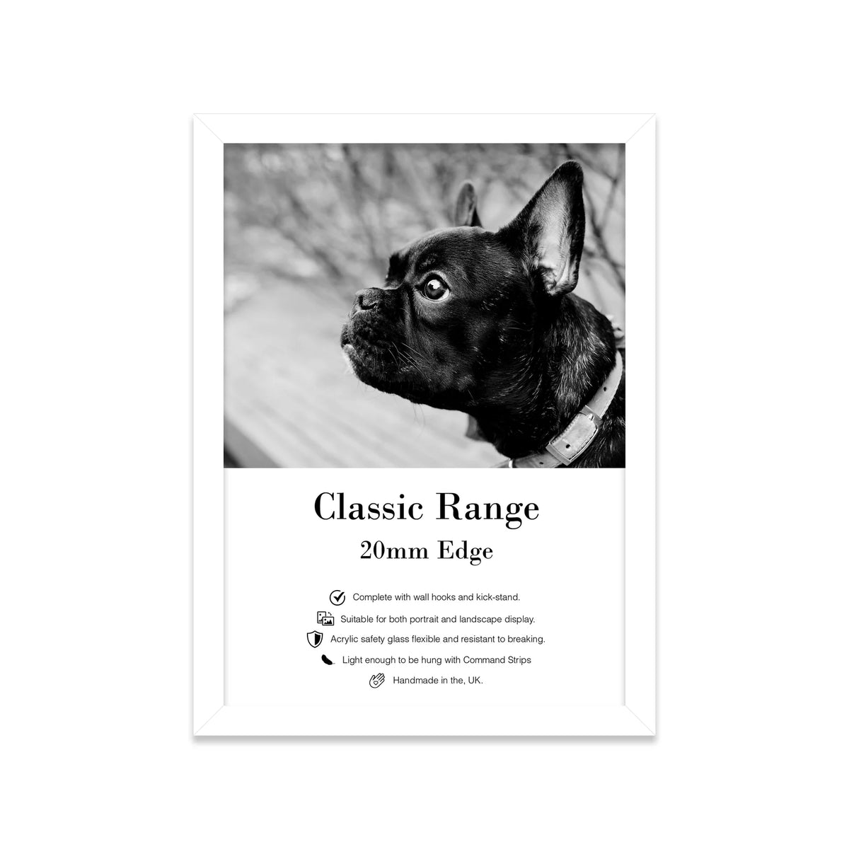 White A6 frame holding a black and white dog photo