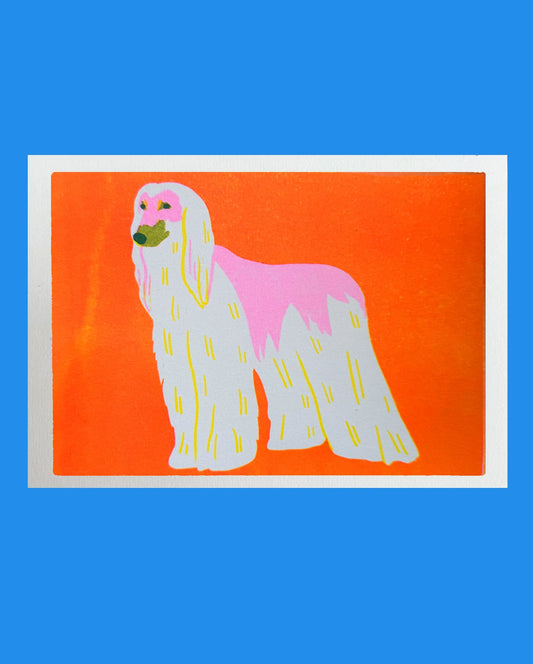 Naomi Wilkinson A5 mini print: a white and pink Afghan hound on orange