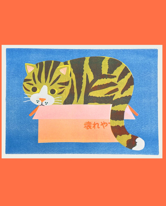 Naomi Wilkinson A3 riso print: a tabby cat lying in a cardboard box, on blue and orange