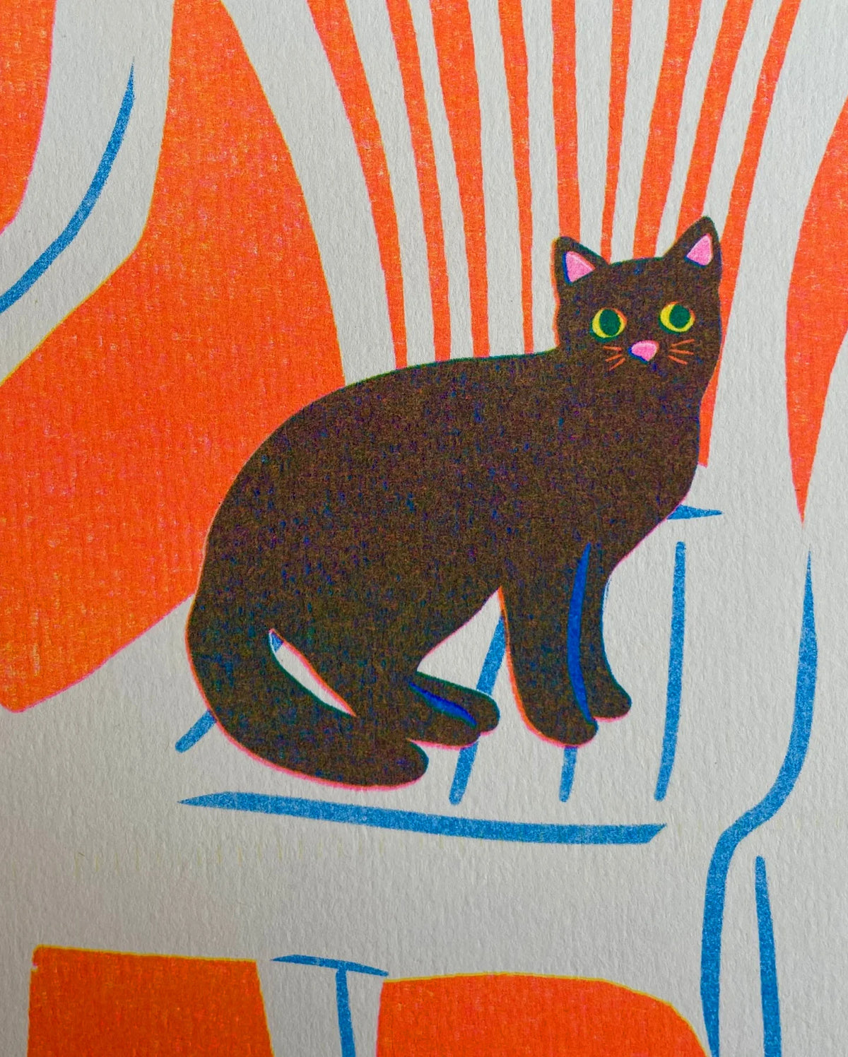 Close-up of the black cat on the chair