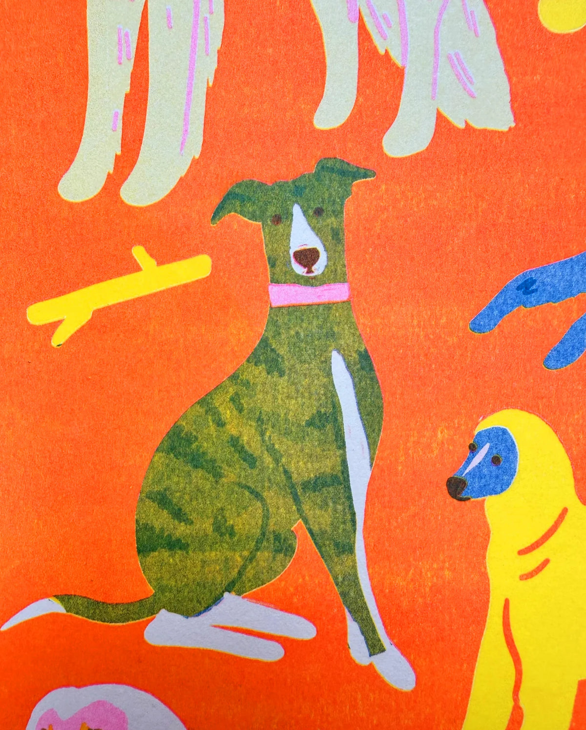 Close-up of a brindle whippet