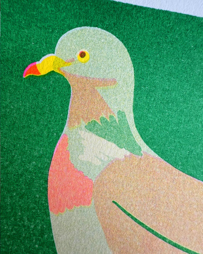 Close-up of the wood pigeon print