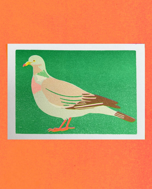 Naomi Wilkinson A5 mini print: a wood pigeon on green