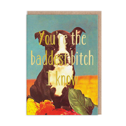 Card with a black and white puppy: You're the baddest bitch I know
