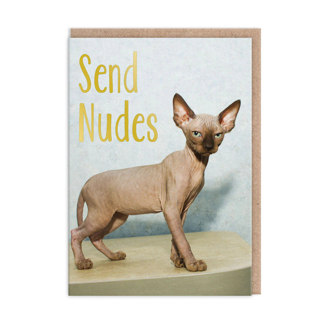 Card with a hairless sphynx cat: Send nudes
