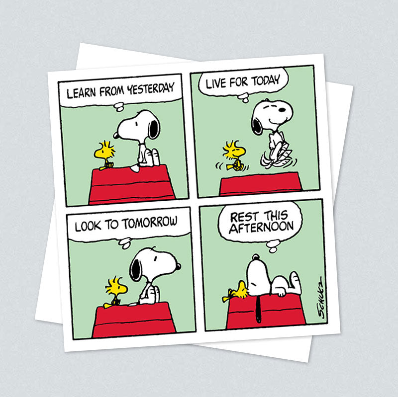 Peanuts comic card of Snoopy and Woodstock: Learn from yesterday, live for today, look to tomorrow, rest this afternoon
