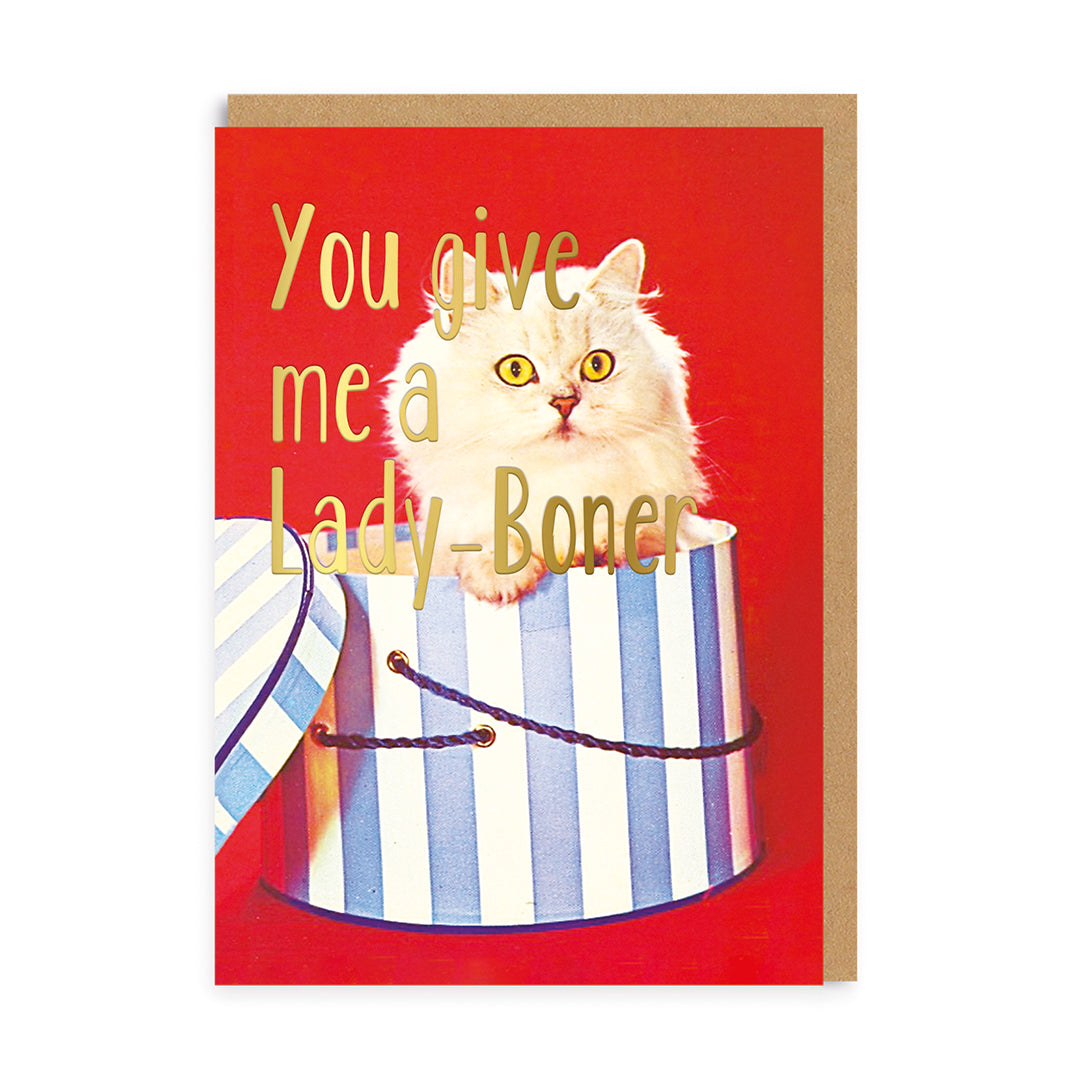 Red card with a white cat in a striped hat box: You give me a lady-boner